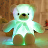 Amazing LED Plush Teddy Bears