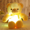 Amazing LED Plush Teddy Bears
