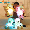 Amazing LED Plush Teddy Bears