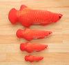 Realistic Fish Catnip Kicker Toy