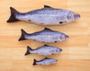Realistic Fish Catnip Kicker Toy