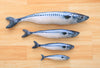 Realistic Fish Catnip Kicker Toy