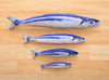 Realistic Fish Catnip Kicker Toy