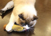 Realistic Fish Catnip Kicker Toy