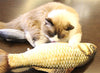 Realistic Fish Catnip Kicker Toy