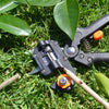 Innovative Grafting Tool