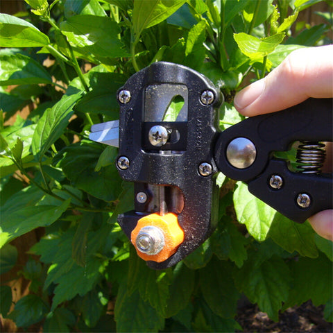 Innovative Grafting Tool