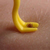 TICK TWISTER - TICK REMOVER