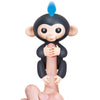 Finger Monkey